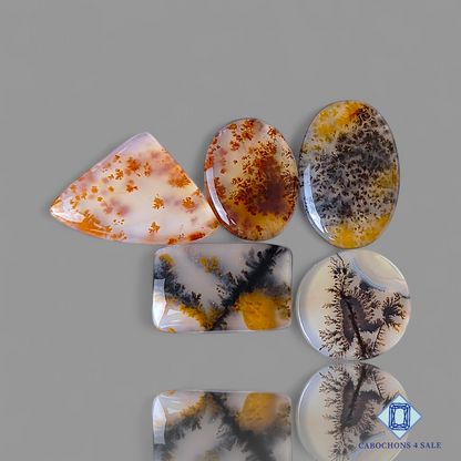 Russian Dendritic Agate