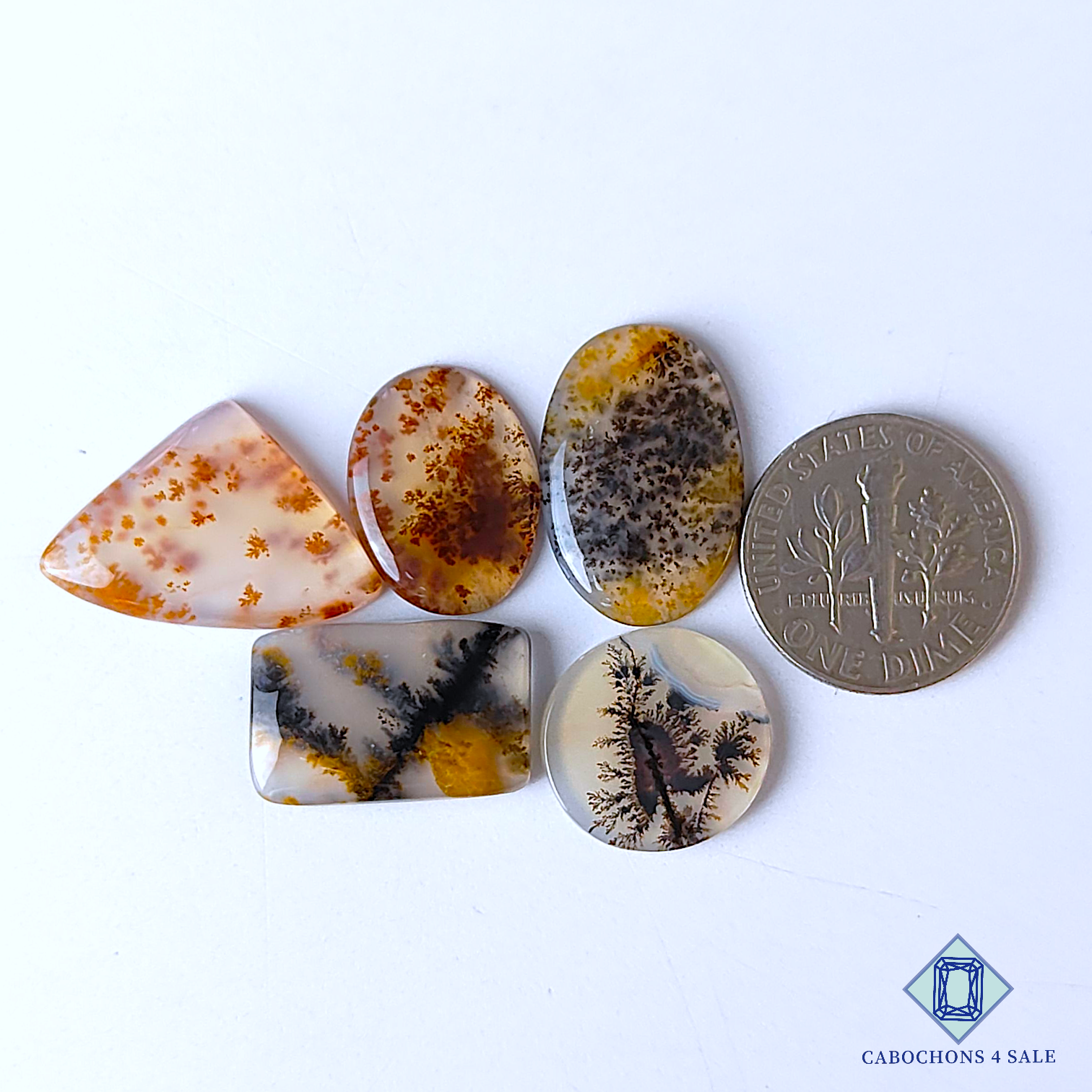 Russian Dendritic Agate