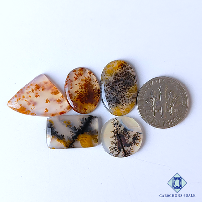 Russian Dendritic Agate