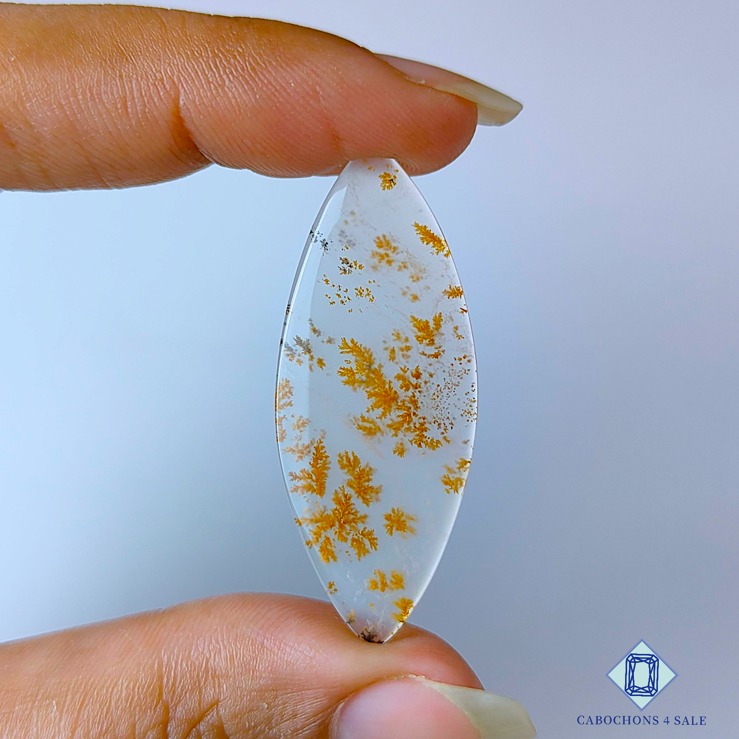 Russian Dendritic Agate