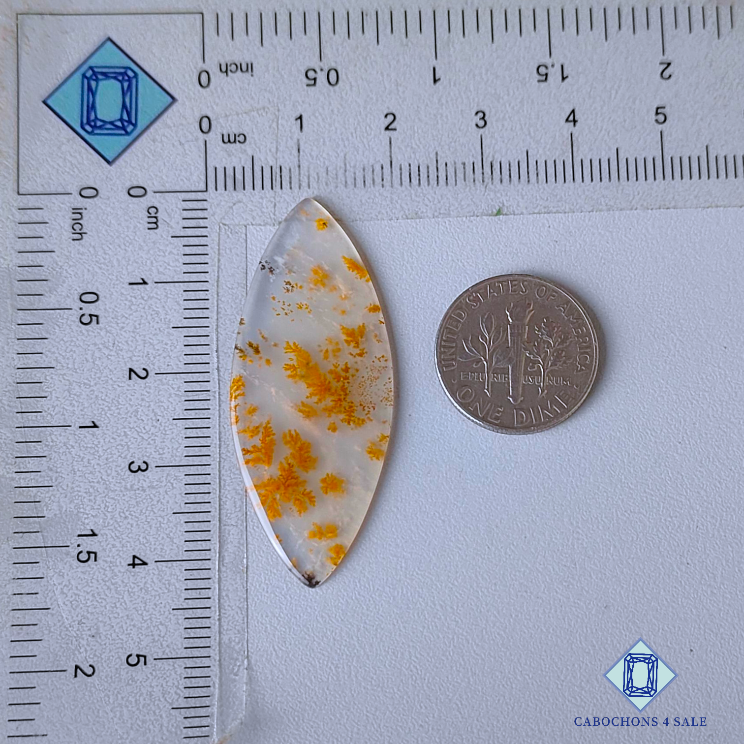 Russian Dendritic Agate