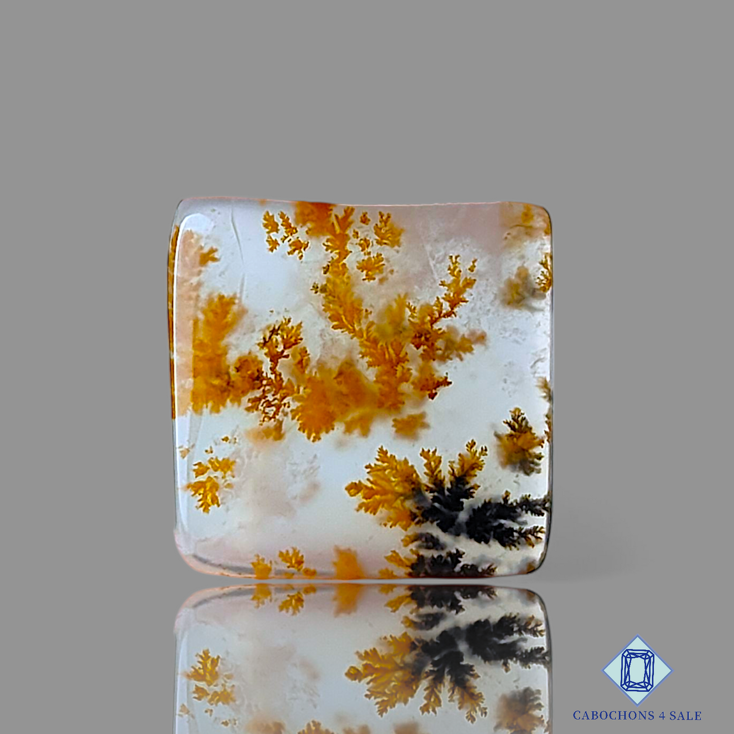 Russian Dendritic Agate