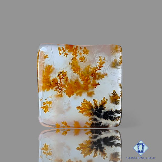 Russian Dendritic Agate