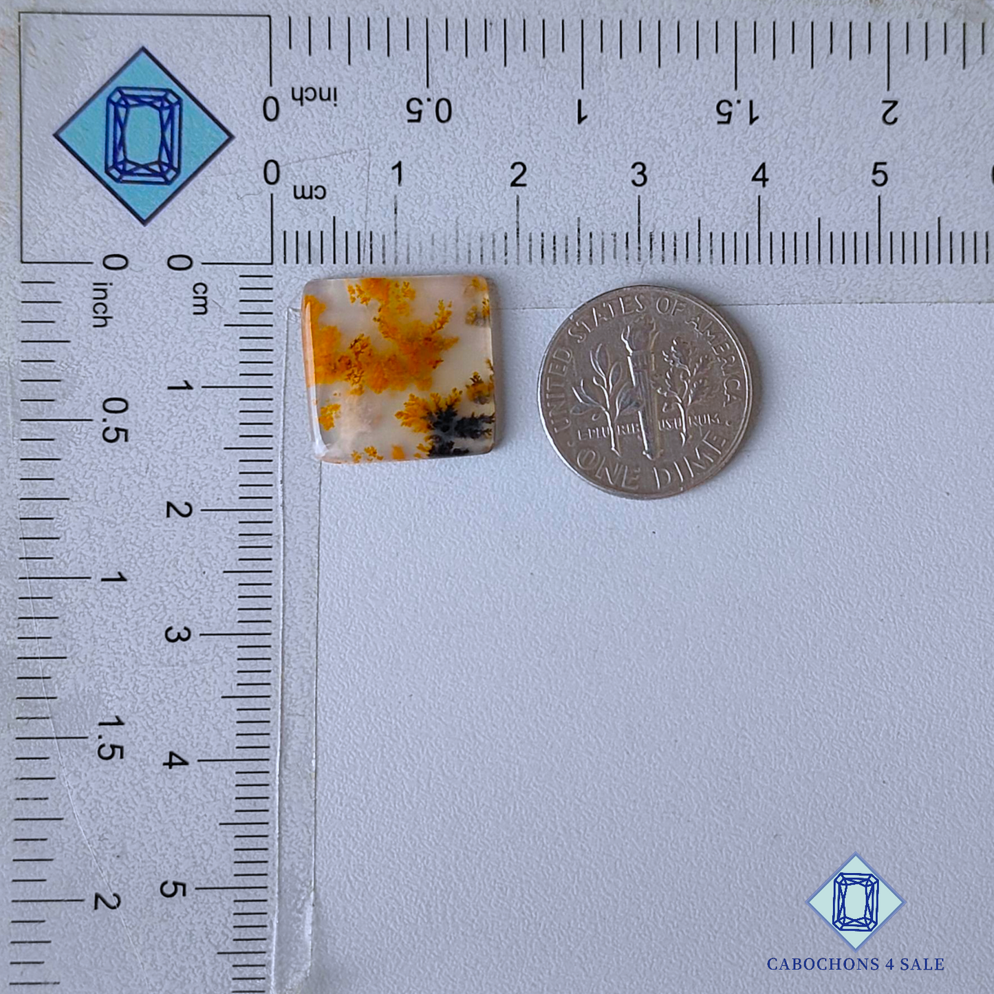 Russian Dendritic Agate