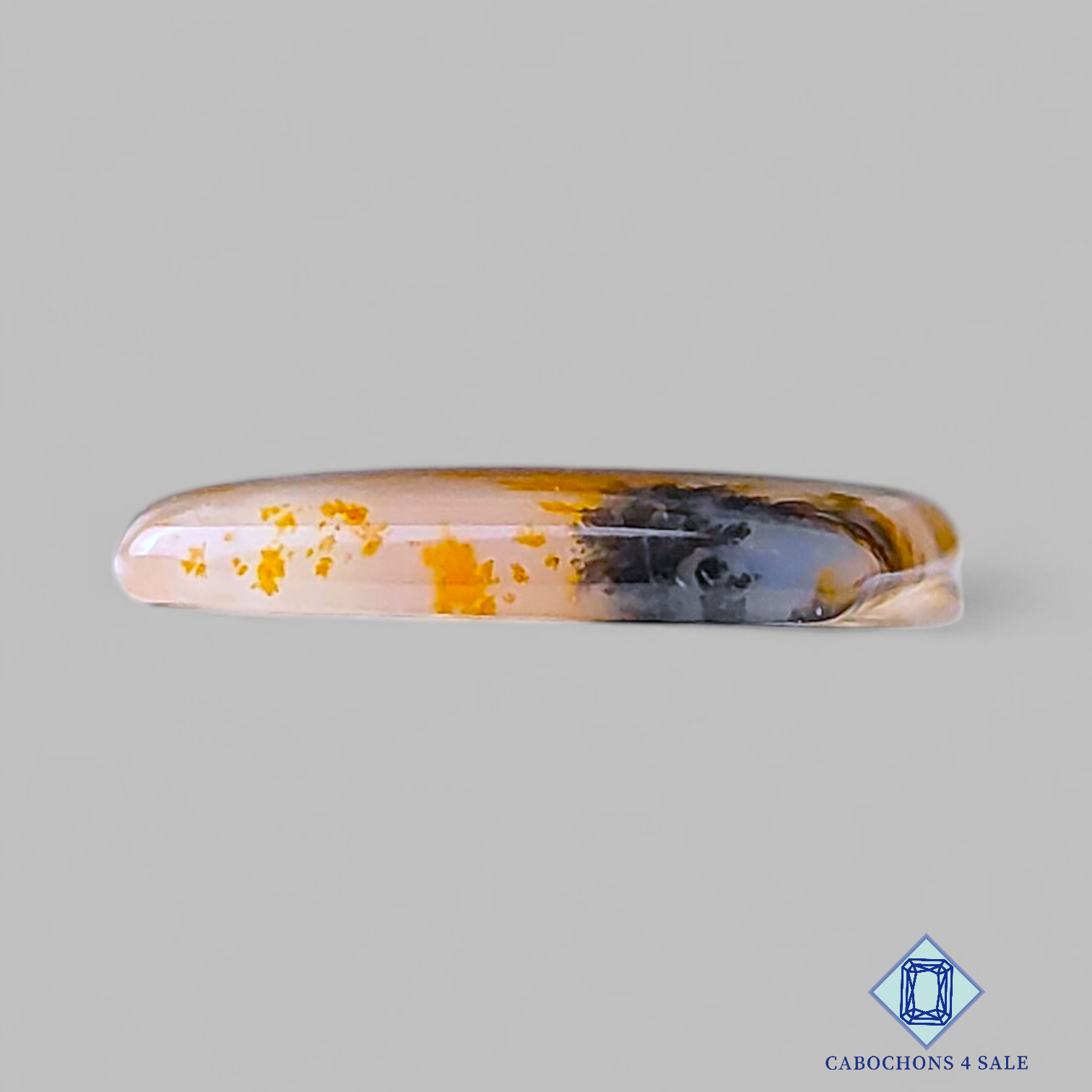 Russian Dendritic Agate