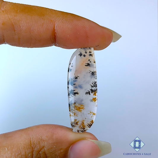 Russian Dendritic Agate