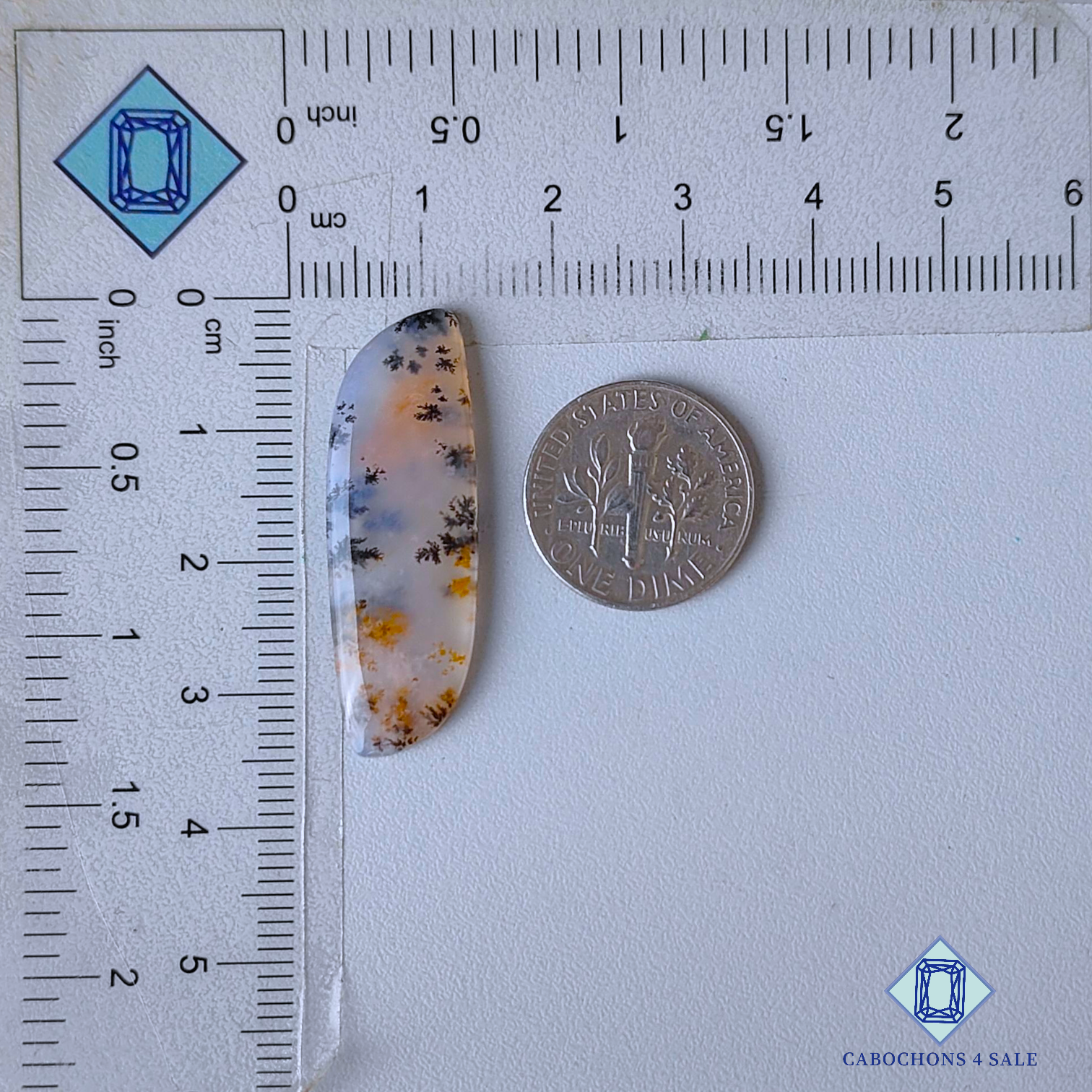 Russian Dendritic Agate