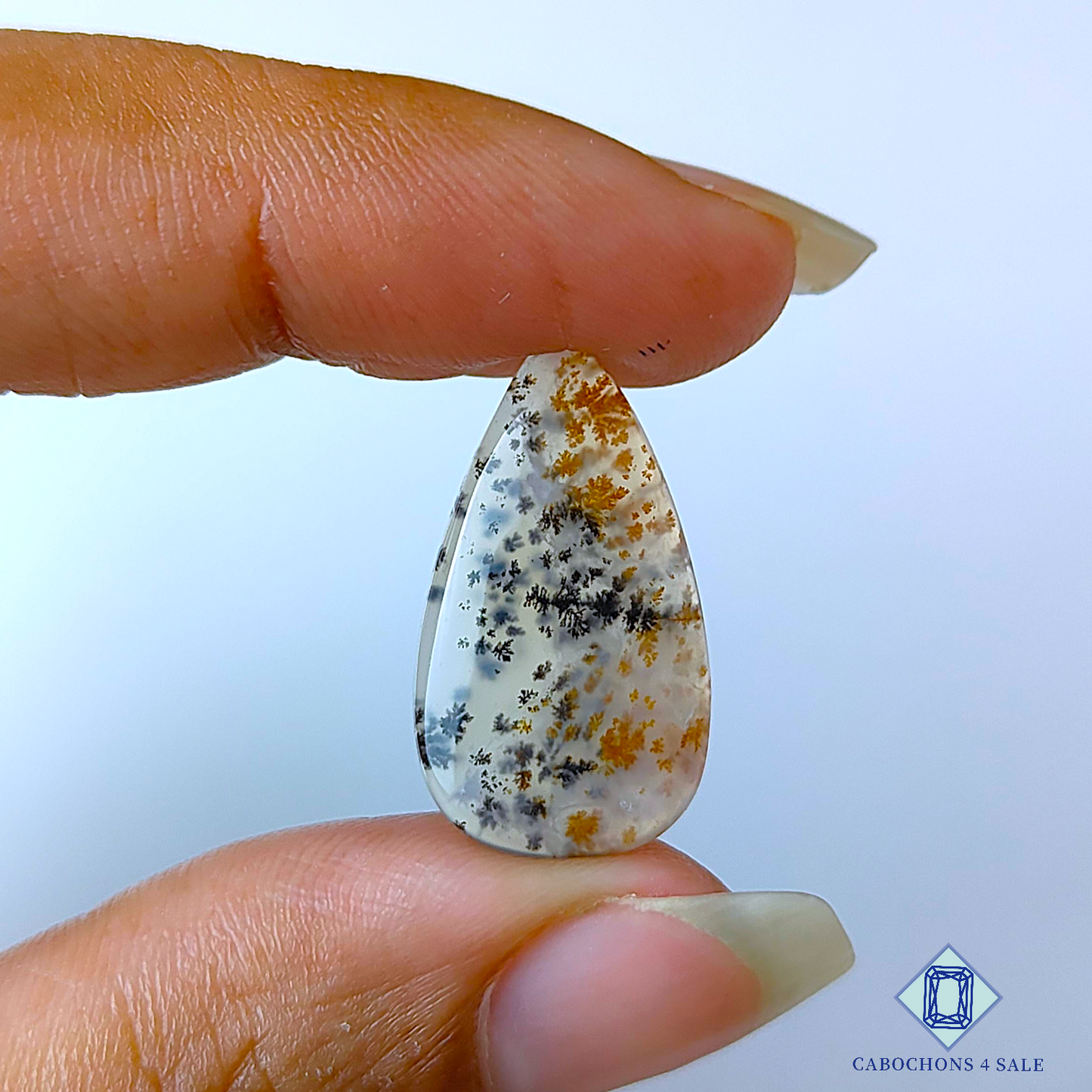 Russian Dendritic Agate