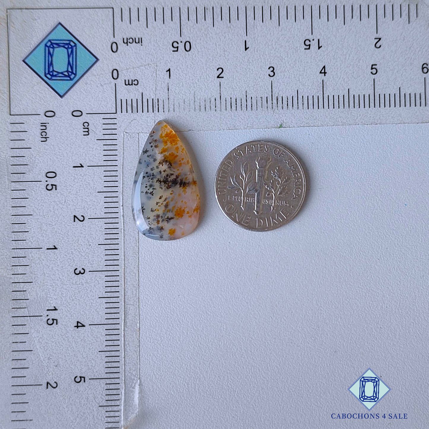 Russian Dendritic Agate