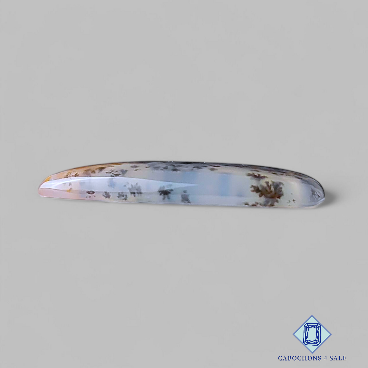 Russian Dendritic Agate