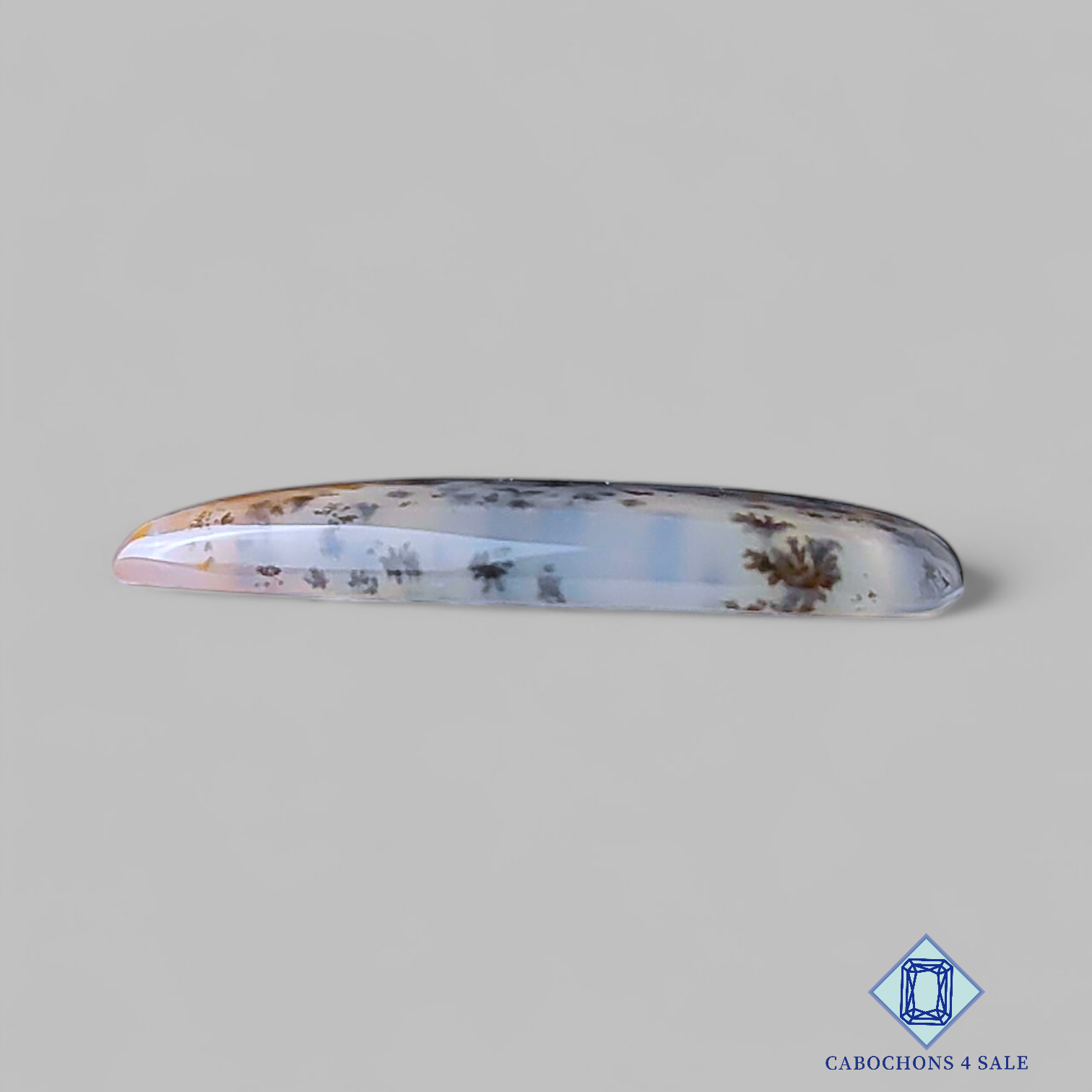 Russian Dendritic Agate