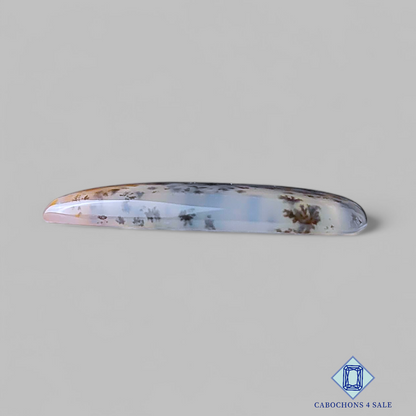 Russian Dendritic Agate