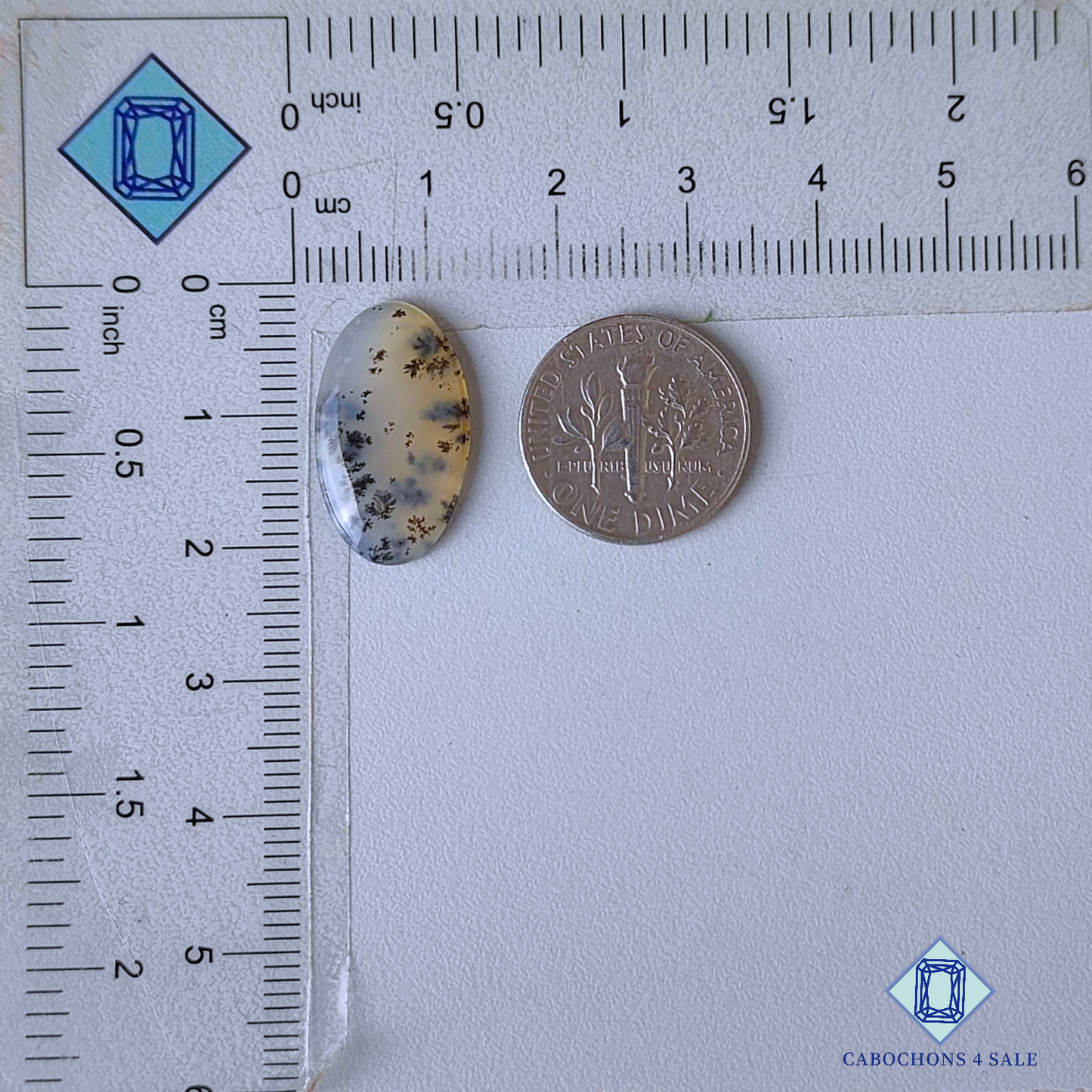 Russian Dendritic Agate