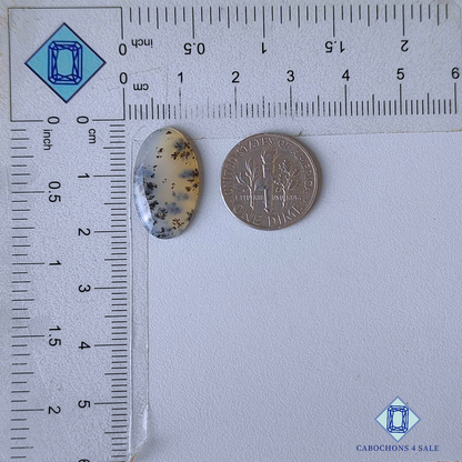 Russian Dendritic Agate