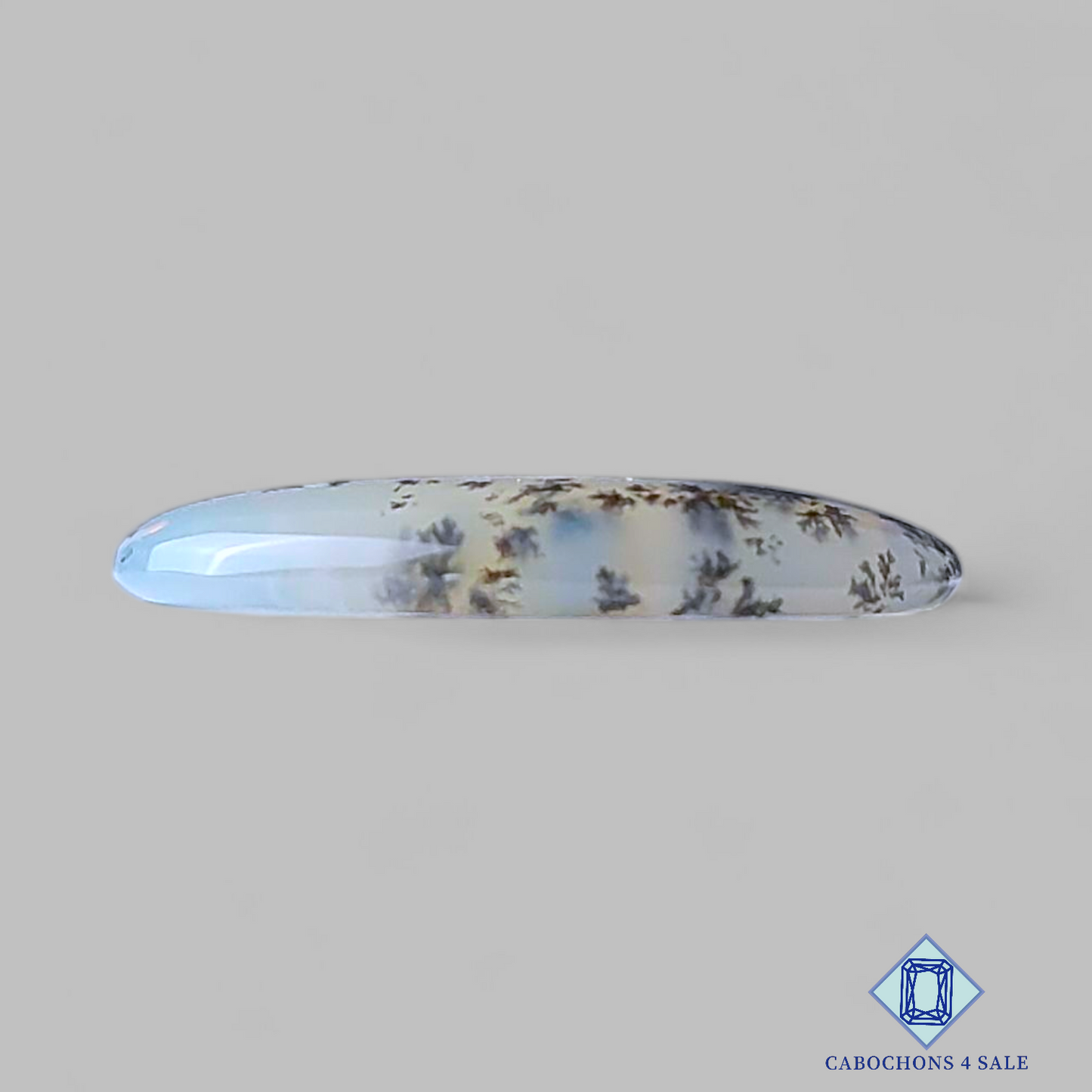 Russian Dendritic Agate