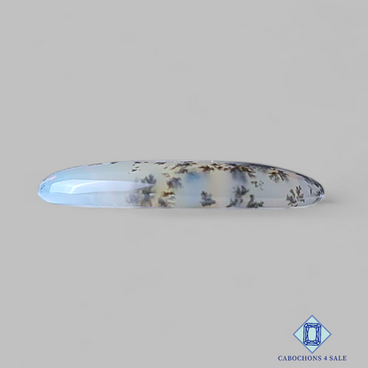 Russian Dendritic Agate