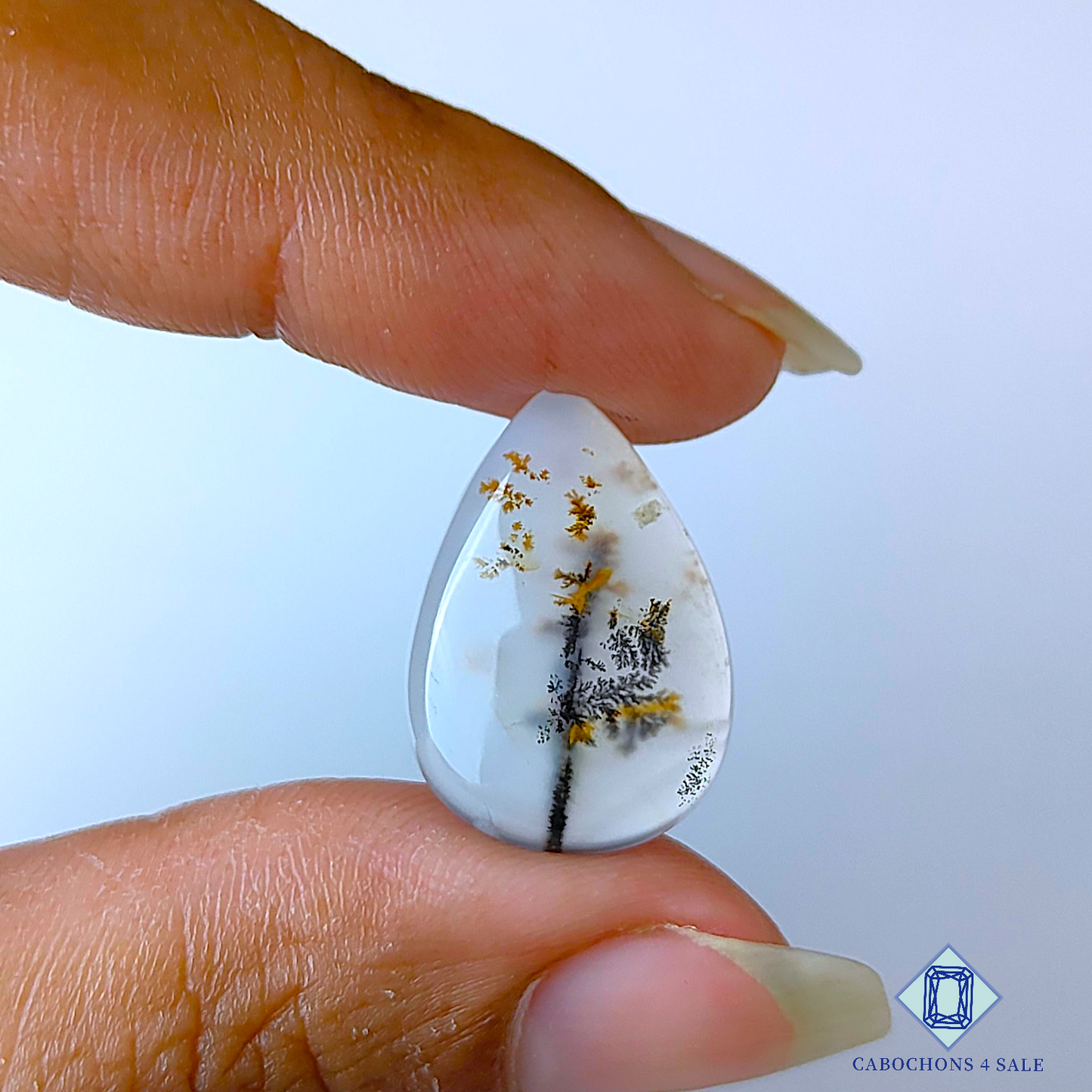 Russian Dendritic Agate