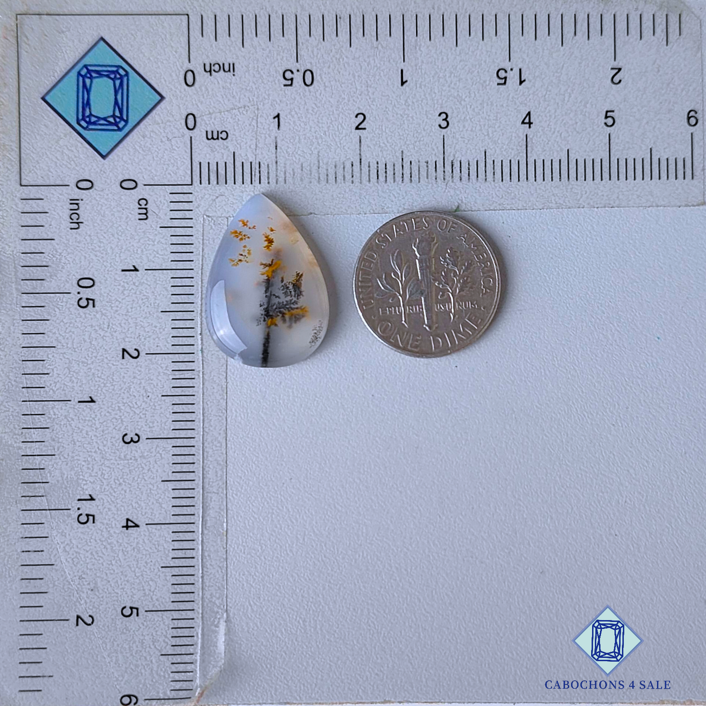 Russian Dendritic Agate