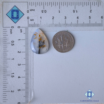 Russian Dendritic Agate