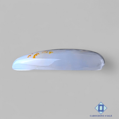 Russian Dendritic Agate