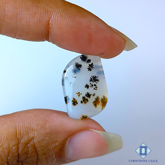 Russian Dendritic Agate