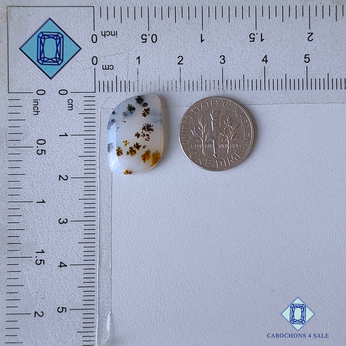 Russian Dendritic Agate