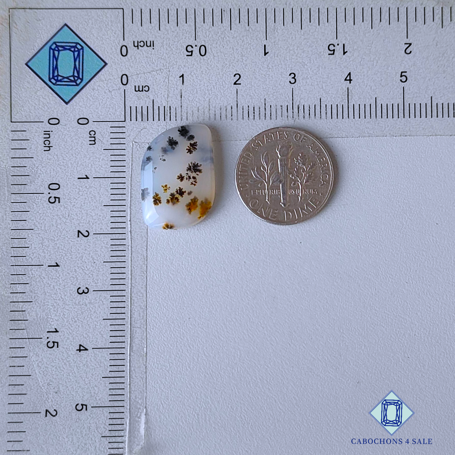 Russian Dendritic Agate