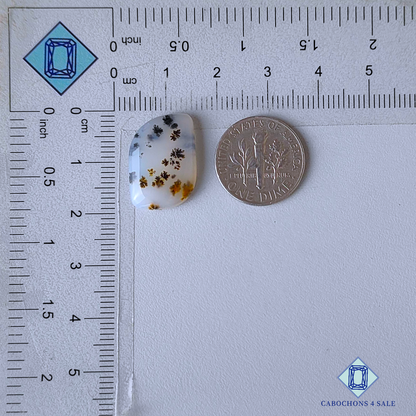 Russian Dendritic Agate