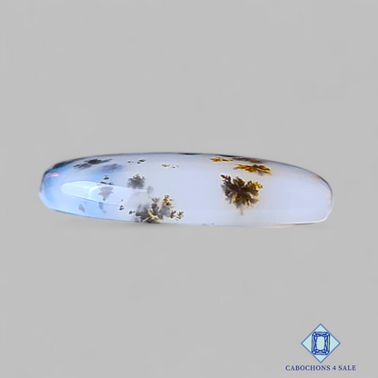 Russian Dendritic Agate