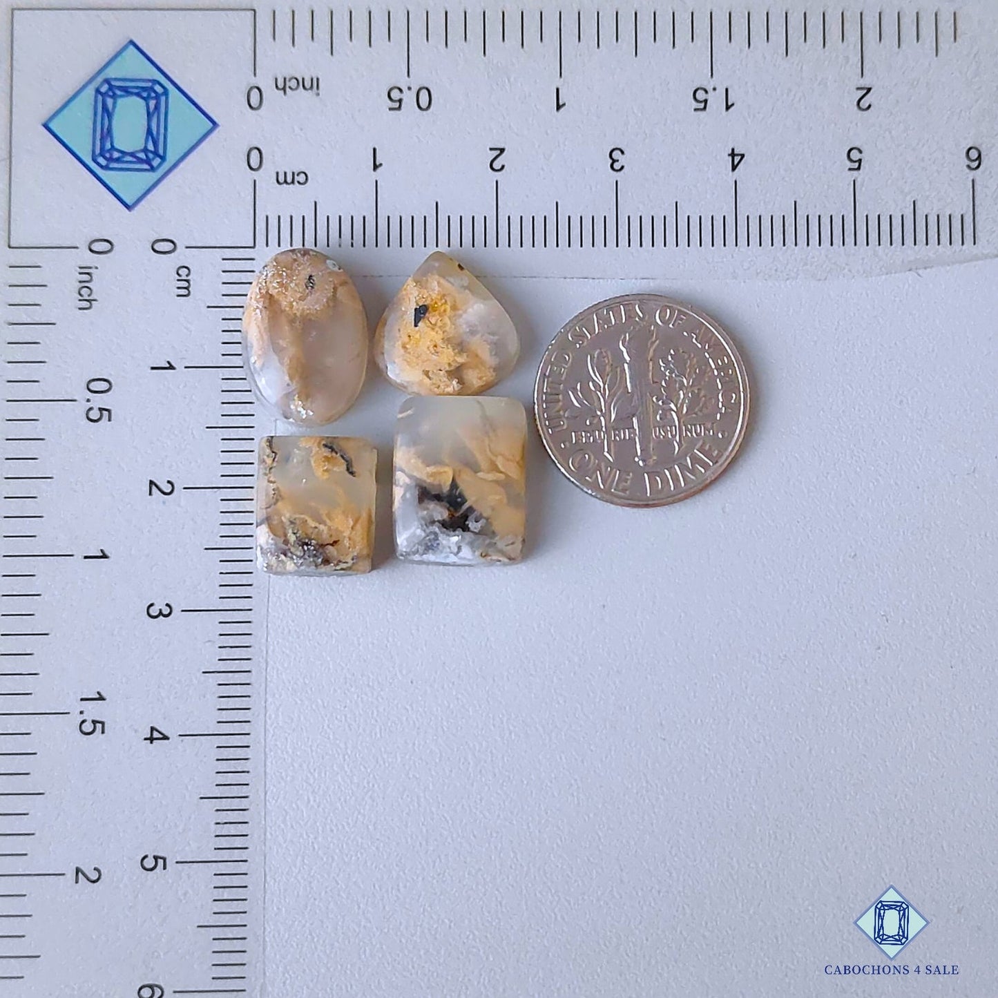 Russian Dendritic Agate