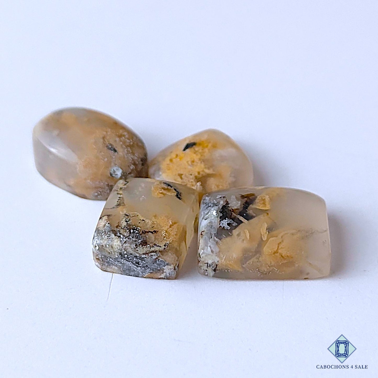 Russian Dendritic Agate