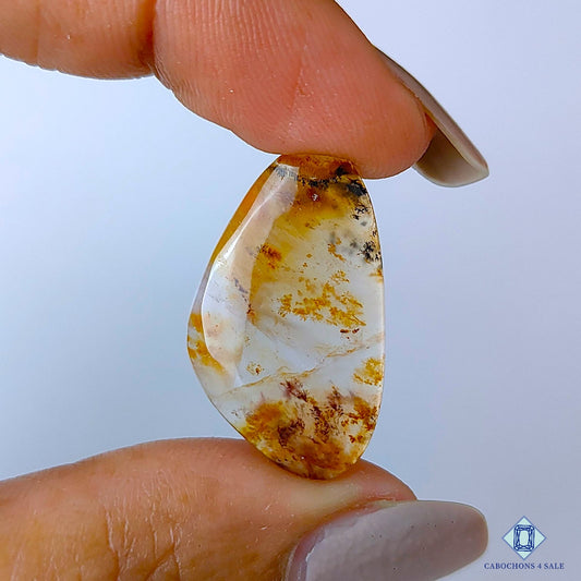 Russian Dendritic Agate