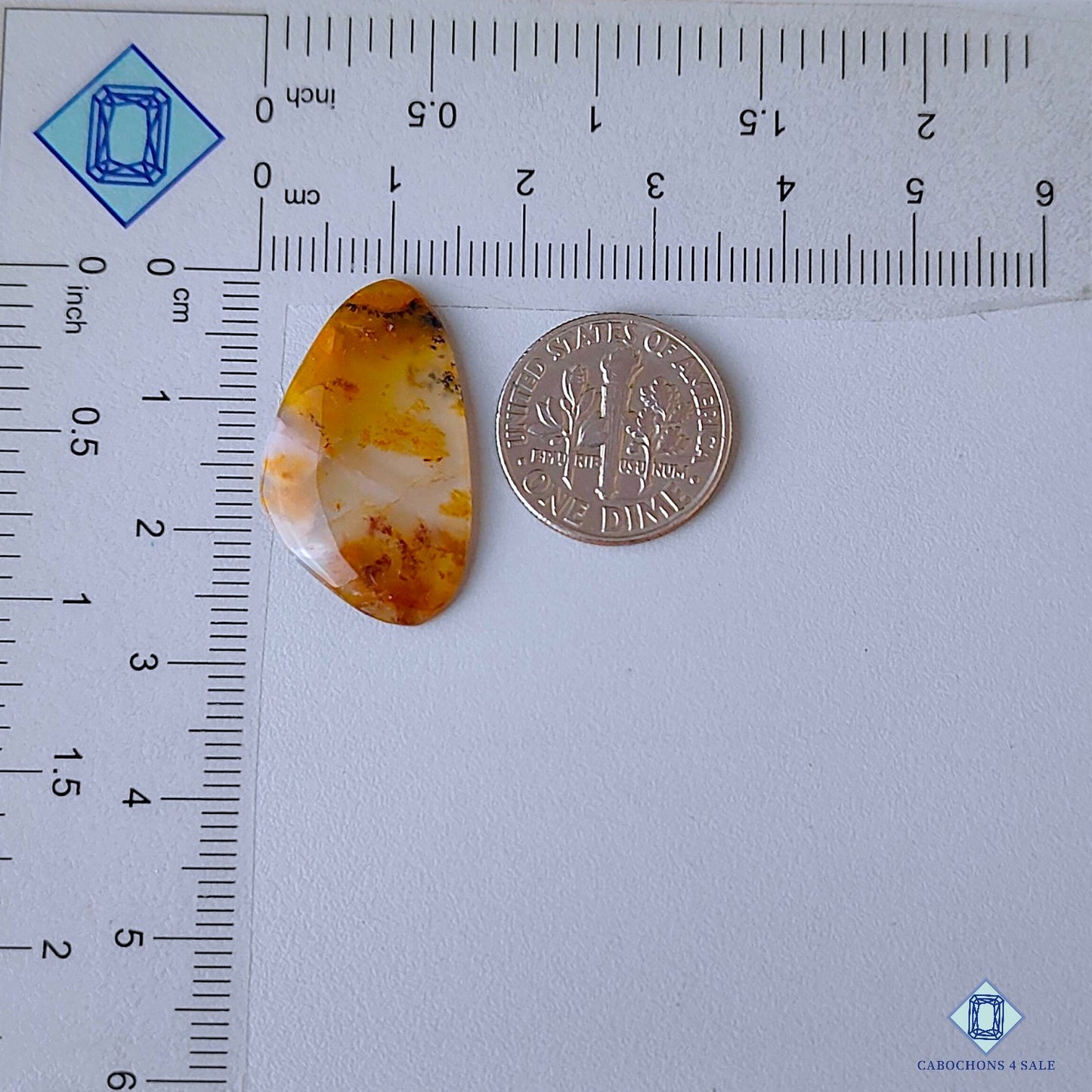 Russian Dendritic Agate