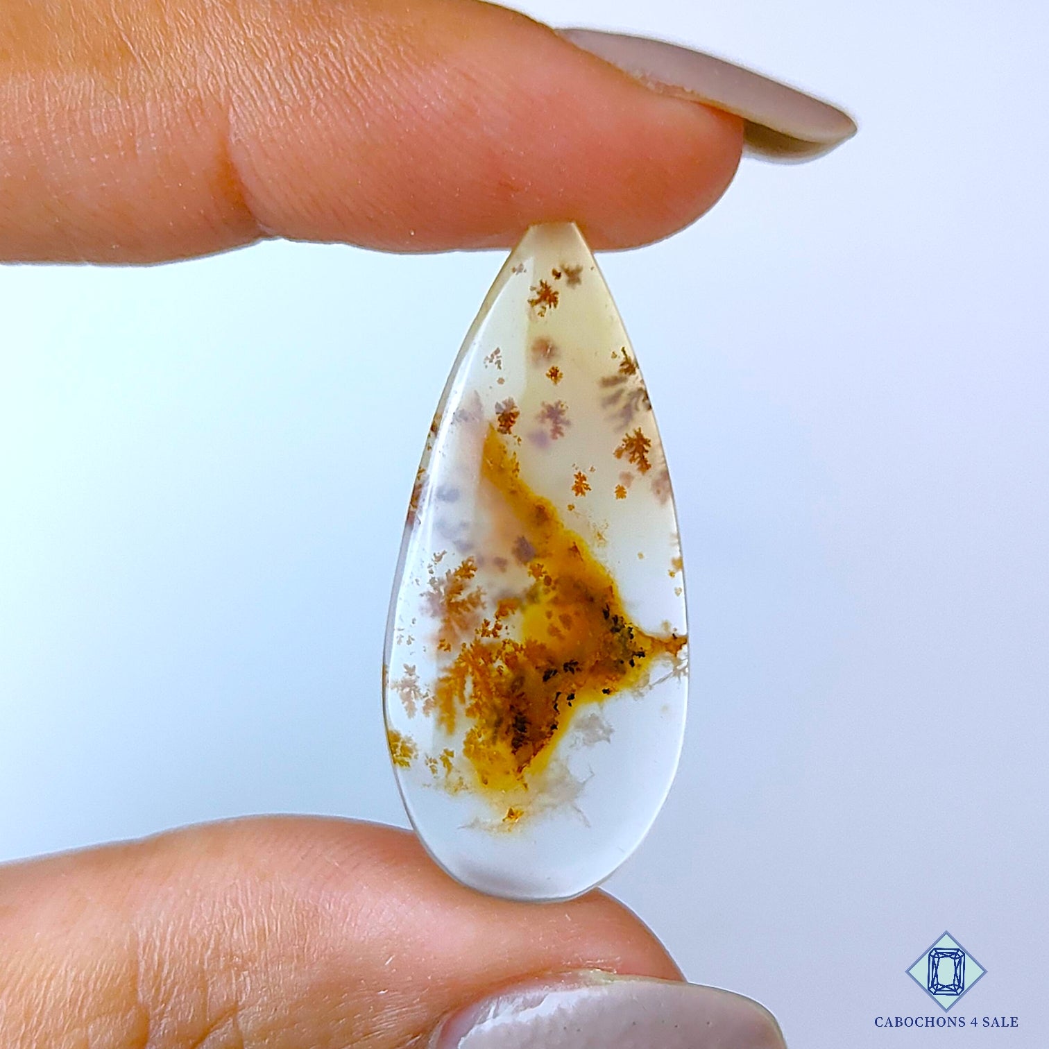 Russian Dendritic Agate