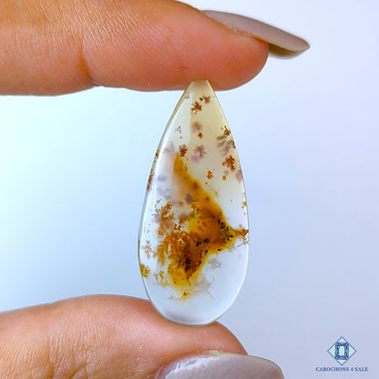 Russian Dendritic Agate