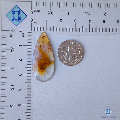 Russian Dendritic Agate