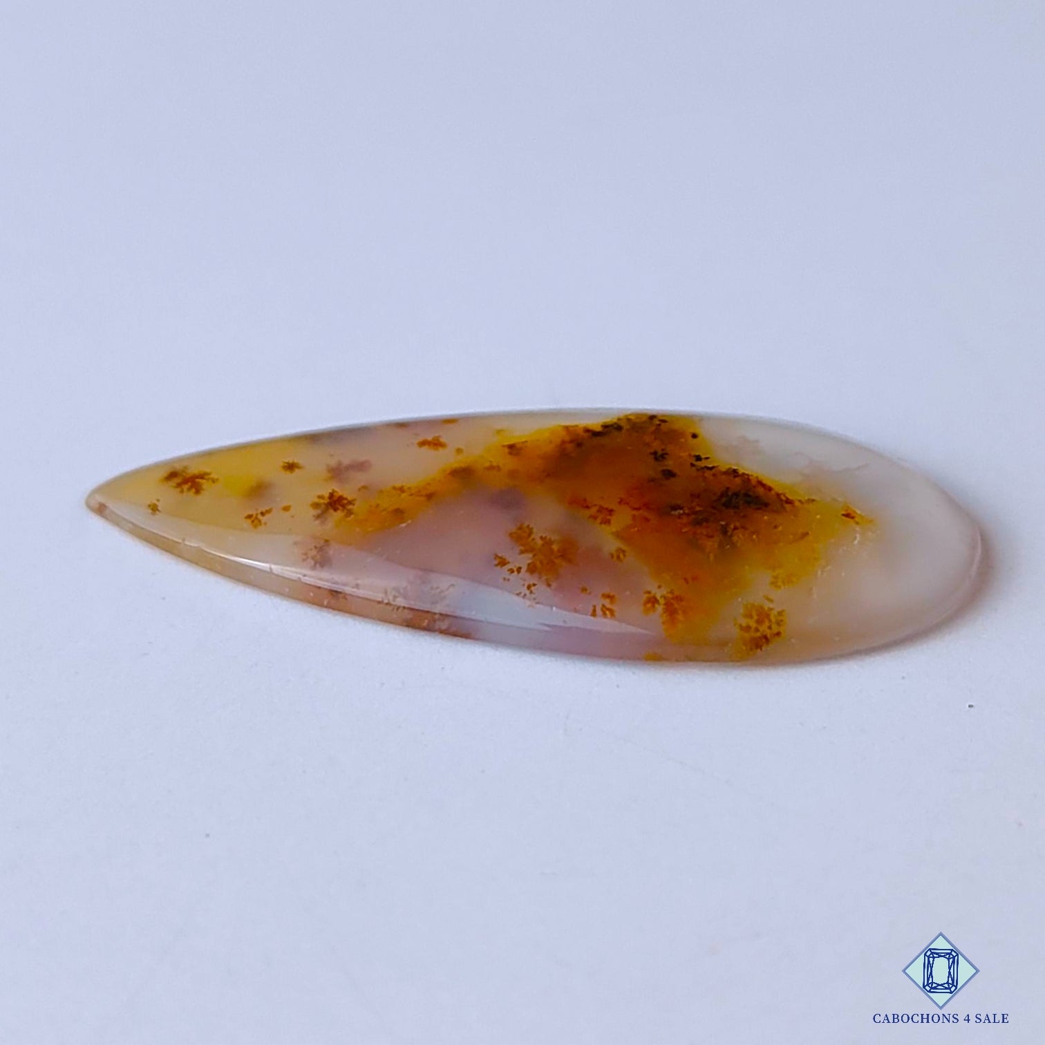 Russian Dendritic Agate