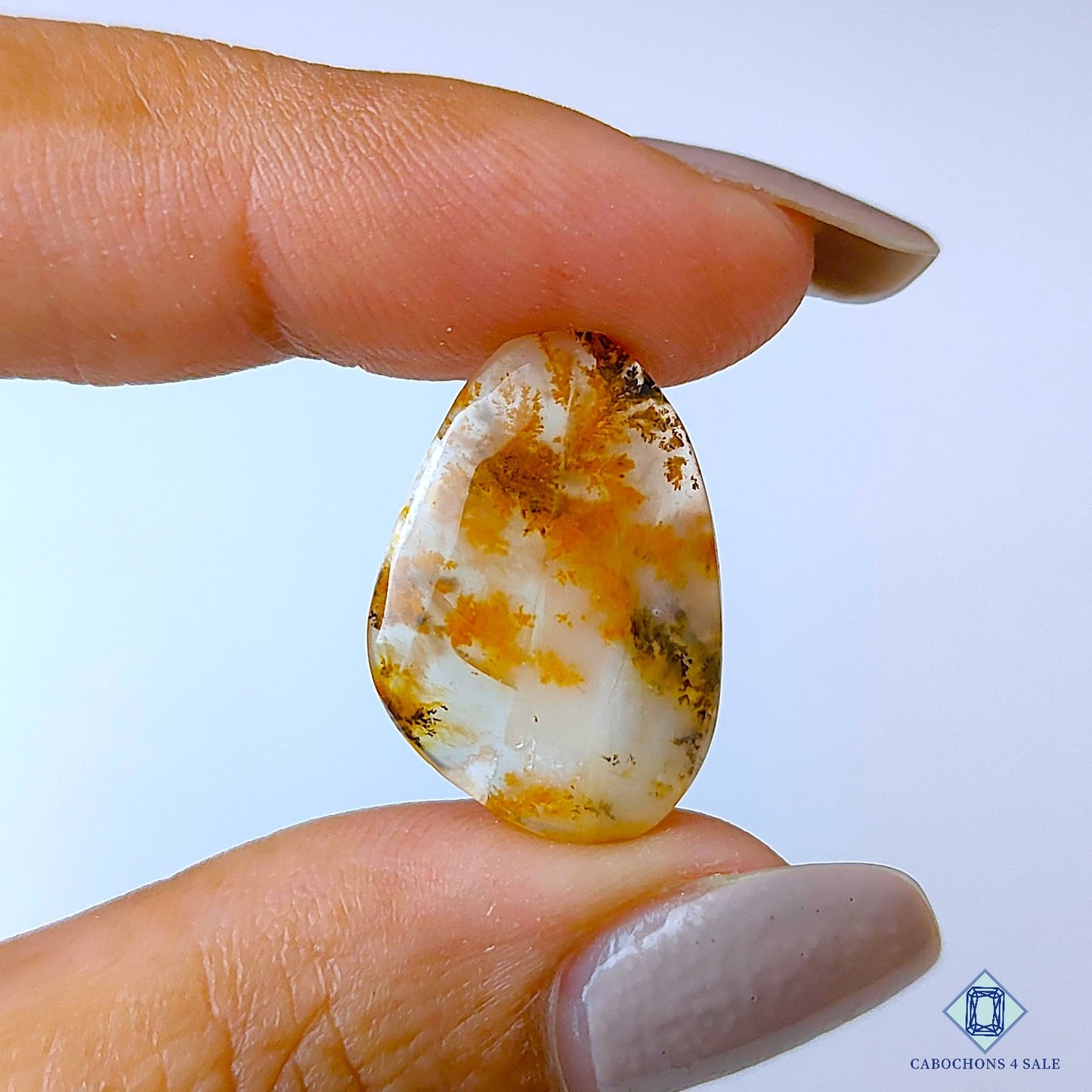 Russian Dendritic Agate