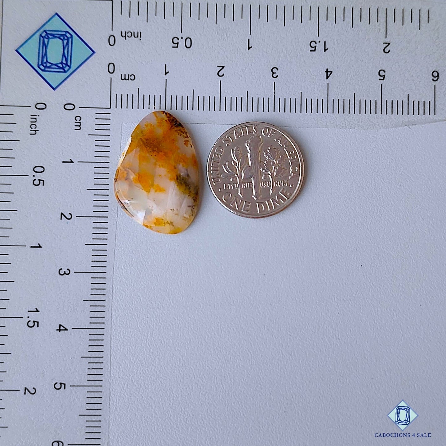 Russian Dendritic Agate
