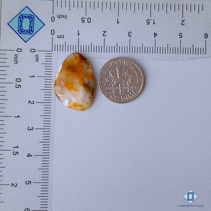 Russian Dendritic Agate