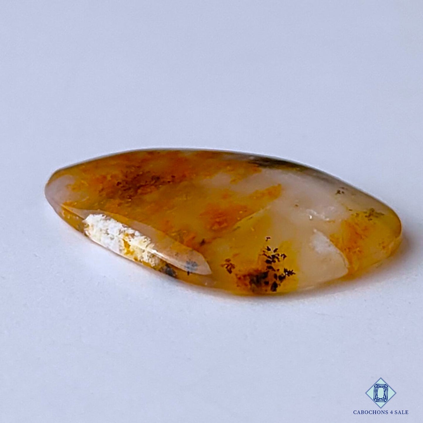 Russian Dendritic Agate