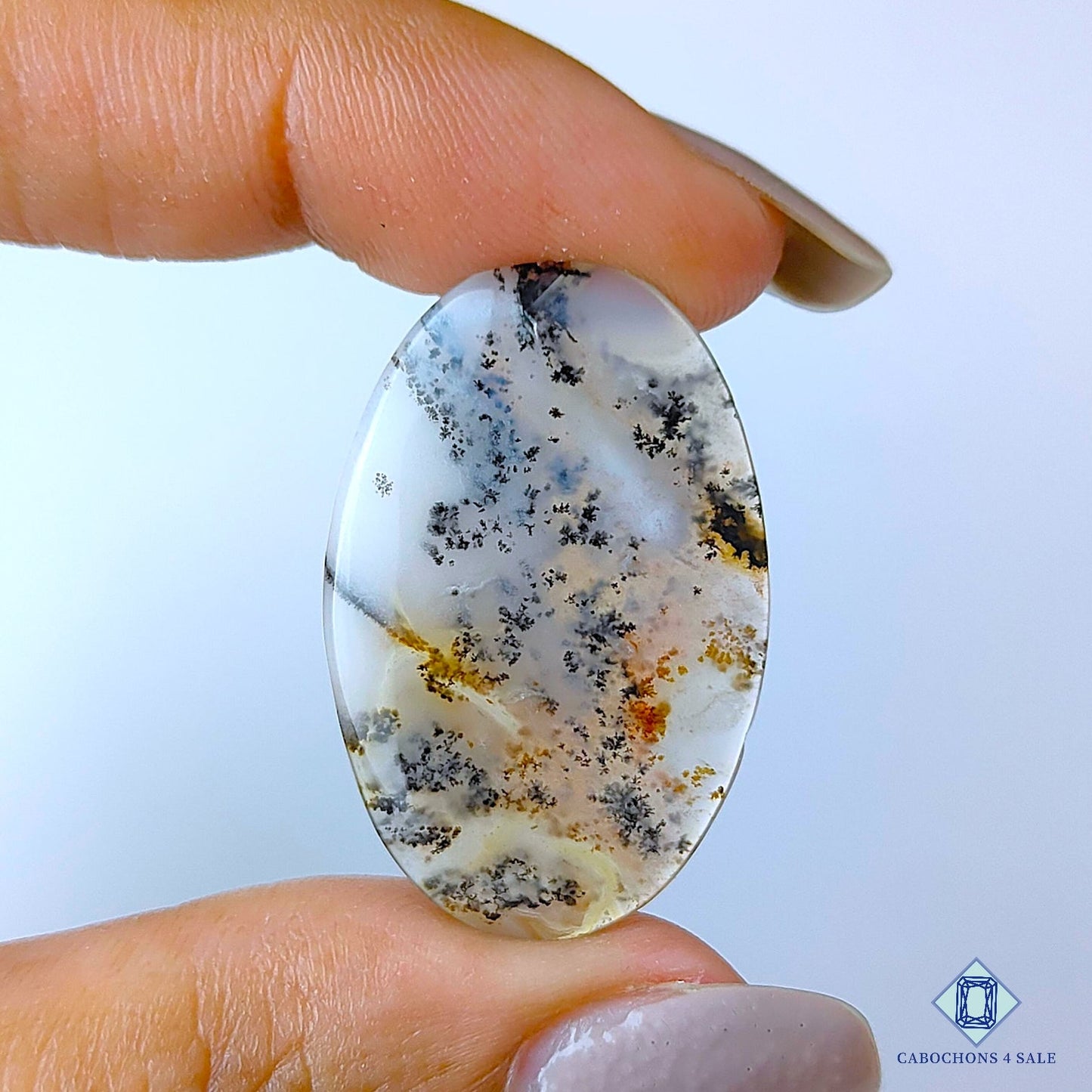 Russian Dendritic Agate