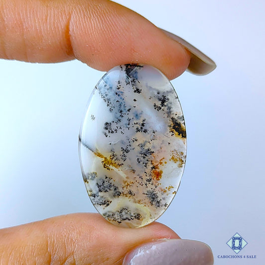 Russian Dendritic Agate