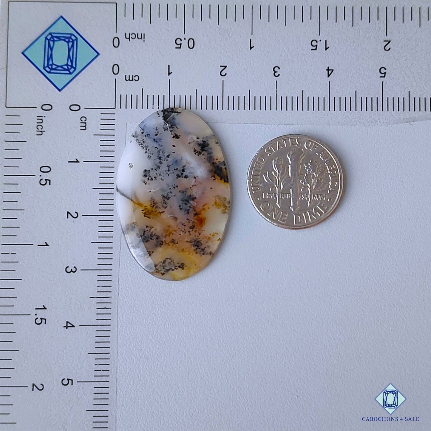 Russian Dendritic Agate