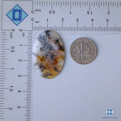 Russian Dendritic Agate