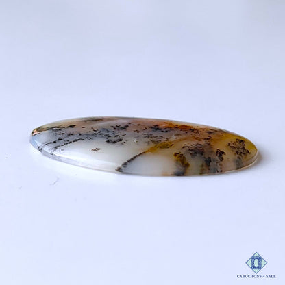 Russian Dendritic Agate