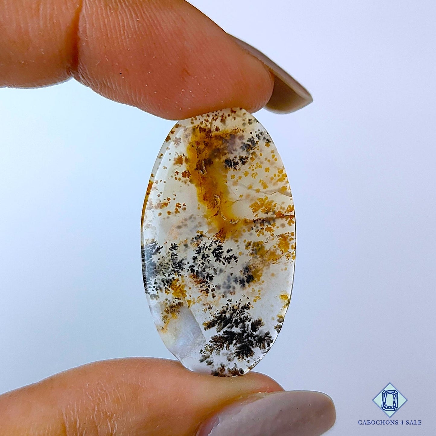 Russian Dendritic Agate