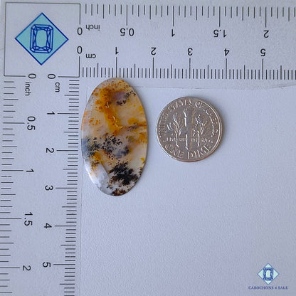 Russian Dendritic Agate