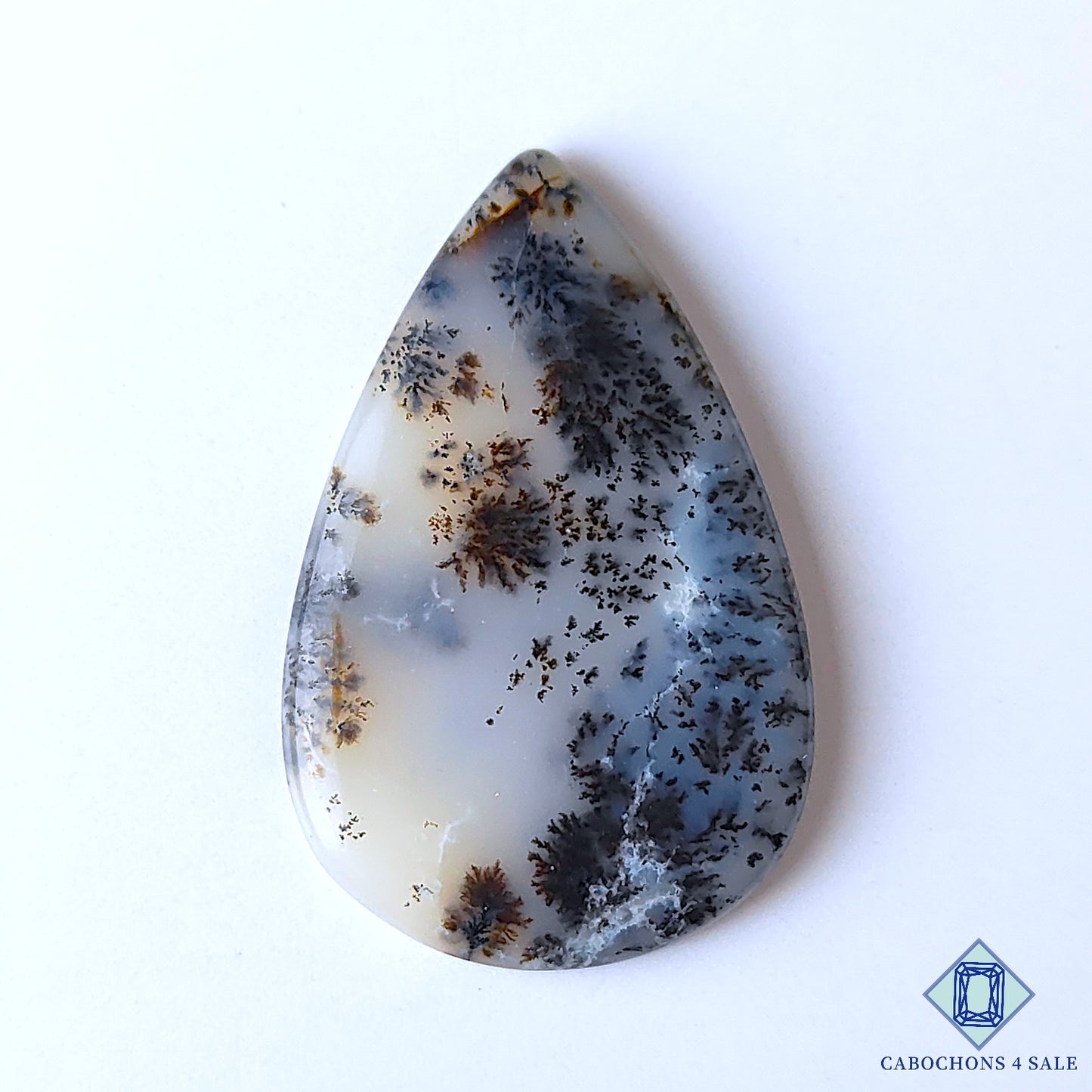 Russian Dendritic Agate