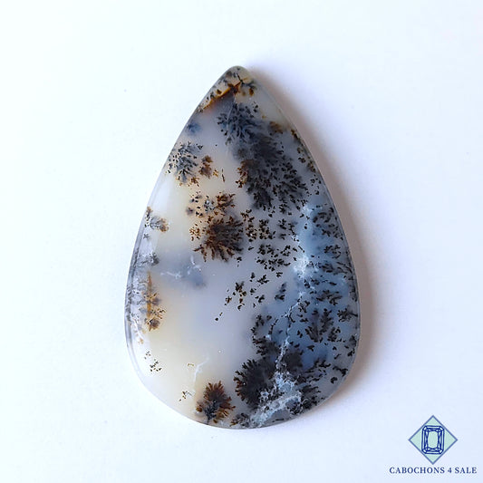 Russian Dendritic Agate